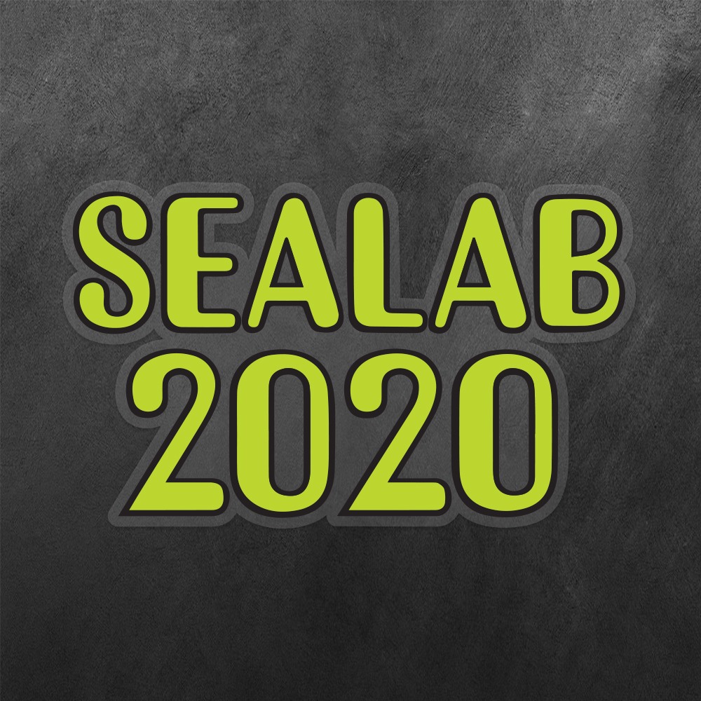 Sealab 2020 Vinyl Decal Sticker