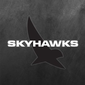 SkyHawks Vinyl Decal Sticker